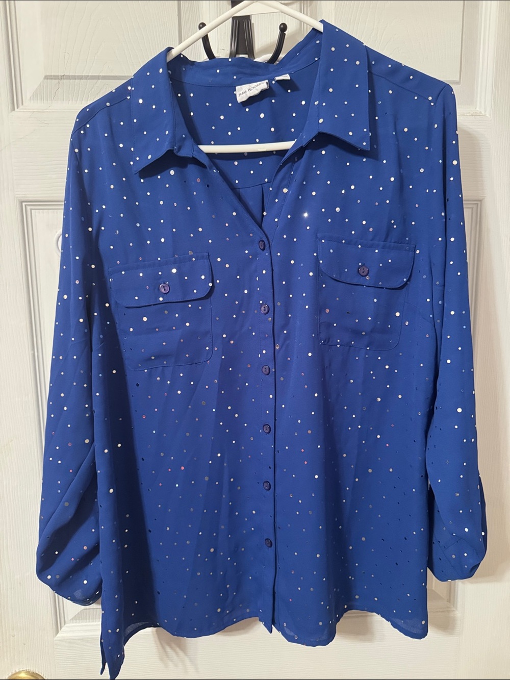 Blue Polka Dot Button-Front Blouse - Women